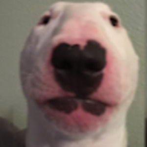 Meet your Posher, Parsa